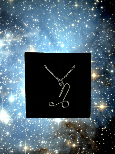 Koziorożec naszyjnik ze stali szlachetnej ze znakiem zodiaku Koziorożec naszyjnik ze stali szlachetnej ze znakiem zodiaku
